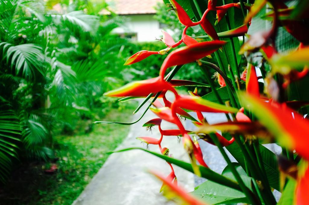 The Nature House Aonang Krabi Thailand Ao Nang Exterior foto